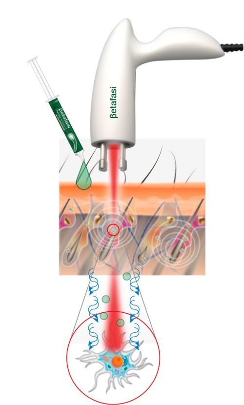 Betafasi-illustrazione